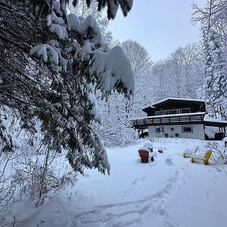Lac Sainte-Marie Chalet Dans Les Arbres. 3 Ch. /Trees House 3Bdr מראה חיצוני תמונה